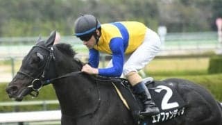 【マイラーズC予想】実力馬有利だが馬場状態にも注意を払いたい…安田記念への前哨戦