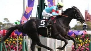 ８馬身差の衝撃。ダービーを目指す「新星」ブラックブロッサムの才能に陣営も胸躍る