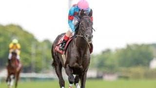 【フローラS予想】馬券は大きく狙いたい波乱戦？ キーワードは2番人気・2＆8枠・関東馬