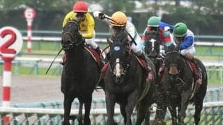 【マイラーズC】今年の売上は約64億円、昨年から20%以上の増加