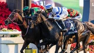 香港競馬が賞金増額　香港Cの総賞金は5.5億円、国際競走4レースの総賞金額は18億円に