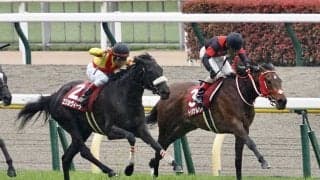 【フローラS】パーソナルハイ 強行軍もオークスの切符獲得