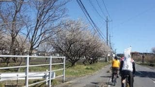いぃ那珂サイクルグルメツアー