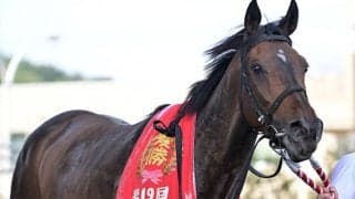 【福島牝馬S】売上は39億1199万3100円、新潟開催の昨年より4億円以上の増加