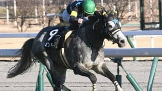 【天皇賞・春 想定騎手】マカオンドールは松山弘平騎手、ロバートソンキーは伊藤工真騎手