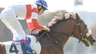 【青葉賞想定騎手】ダノンギャラクシーはC.ルメール騎手、レヴァンジルはD.レーン騎手