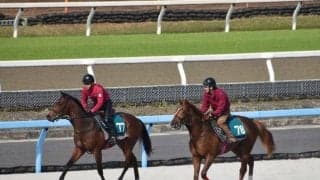 シリンガバルガリスなど、先週のゲート試験/栗東トレセンニュース