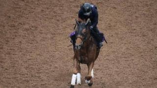 テーオーケインズなど、先週の入厩情報/栗東トレセンニュース