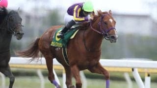 【かしわ記念】昨年覇者カジノフォンテン、連勝中ショウナンナデシコなど　モジアナフレイバーが繰り上がり選定