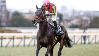 【青葉賞予想オッズ】レヴァンジルが予想1番人気