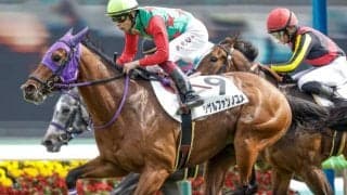 ブリーズアップセールにサトノダイヤモンドなど新種牡馬の仔が登場、最高落札はデクラレーションオブウォー産駒