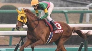 【天皇賞・春展望】1番人気が5年連続で連対、中心になるのはやはりあの馬