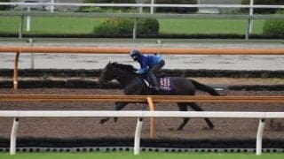 デアリングタクト、ヴィクトリアM2週前追い切り速報/栗東トレセンニュース