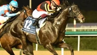 シャフリヤールが英G1プリンスオブウェールズSに登録、単勝1番人気に