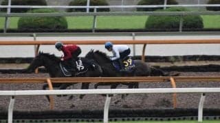 セリフォスなど、NHKマイルC1週前追い切り速報/栗東トレセンニュース