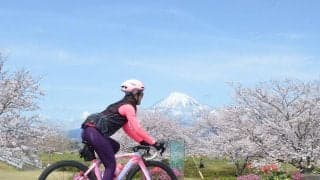 「桜・富士山」春満喫！絶景サイクリングへ