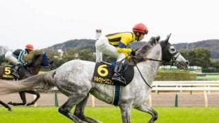 【天皇賞・春予想】AIの注目馬は波乱を演出できるか！