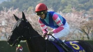 【次走】桜花賞2着のウォーターナビレラは武豊騎手でオークスへ