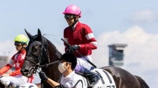 【次走】ドーブネはNHKマイルCを回避しプリンシパルSへ　鞍上は引き続き武豊騎手