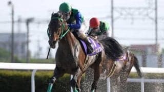 【笠松・オグリキャップ記念結果】船橋のトーセンブルが3馬身差完勝