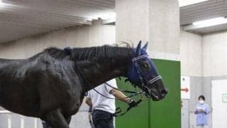 【天皇賞春 注目馬】黄金旅程は終わらない…　一族好相性の舞台と騎手で激走必至