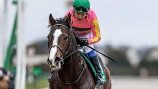 【船橋・かしわ記念出走予定馬】テイエムサウスダン、ショウナンナデシコら