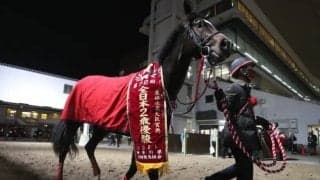 【園田・兵庫CS出走予定馬】2歳王者ドライスタウト、前走サウジのコンシリエーレら