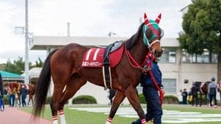 【名古屋・かきつばた記念出走予定馬】連覇中ラプタス、重賞連続2着ヘリオスら