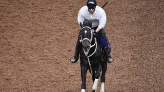 【天皇賞・春 調教後馬体重】ディープボンドは510kg、タイトルホルダーは476kg