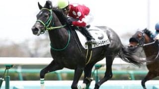 オグリキャップの孫、誘導馬を目指す