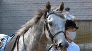 【天皇賞春 注目馬】オルフェーヴルの敗戦から10年 産駒が同じピンク帽からリベンジへ