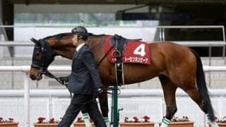 天皇賞・春は本当に「２強」で決まるのか。過去データから浮上する激走候補にご用心