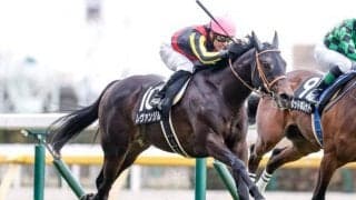 【青葉賞枠順確定】レヴァンジルは7枠11番、ロードレゼルは5枠7番