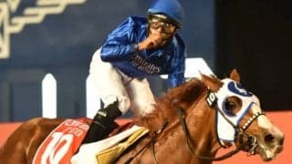 【海外競馬】昨年のドバイWC覇者ミスティックガイドが引退、米国で来年から種牡馬入り