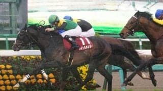 【天皇賞・春】出走馬の調教後の馬体重