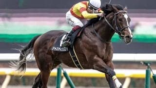 【青葉賞予想】過酷なダービー前哨戦！ 前走快勝でも問われるレースの格