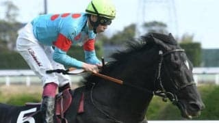 【京都新聞杯想定】無傷2連勝中ブラックブロッサム、5億円馬ショウナンアデイブ、リアドなど