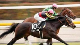 【青葉賞予想】日本ダービー前哨戦、レベルの高い血統構成の持ち主を抜擢