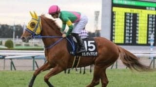 天皇賞・春は過去と現在の傾向から「大荒れ」確定。穴党記者が高額配当の夢を託した２頭