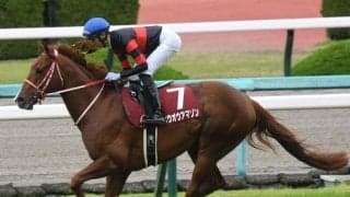 【次走】ホウオウアマゾンは坂井瑠星騎手とのコンビで安田記念へ