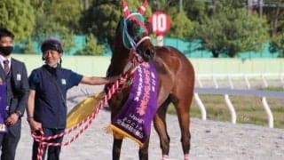 【名古屋・かきつばた記念枠順確定】ラプタスは3枠3番、イグナイターは1枠1番