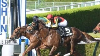 【天王山S結果】デュアリストが抜け出して通算5勝目
