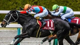 【天皇賞・春前日オッズ】ディープボンドが2.7倍で1番人気、5頭が10倍を切る