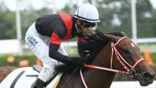 【次走】パーソナルハイは吉田豊騎手でオークスへ