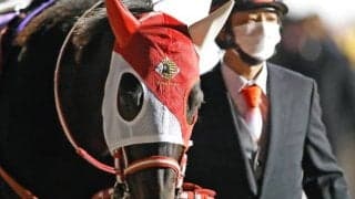 【次走】ダノンファラオは引き続き坂井瑠星騎手とのコンビで平安Sへ　内容次第で帝王賞を視野に