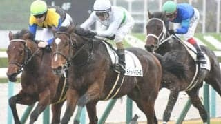 【青葉賞】ディライトバローズは競走中に右前浅屈腱断裂を発症