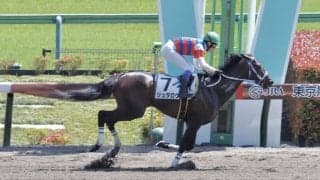 【東京6R】武豊 ジュタロウが4馬身差圧勝