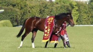 【青葉賞】池添謙「初めて跨った時にクラシックへと思っていた」プラダリアがダービーの権利獲得