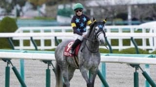 【天皇賞・春予想】春の長距離GI、消耗戦を制すのはどの馬か