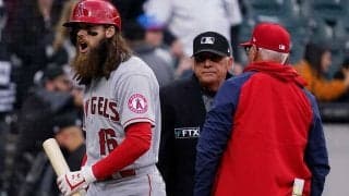 「満塁でトラウト、大谷だったのに…」　エンゼルスには厳しい判定に日本のファン落胆